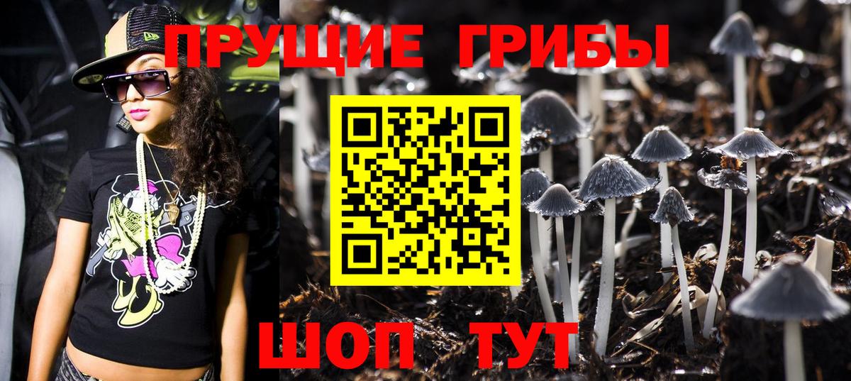 Родники  Галлюциногенные грибы ЛСД  Вход с VPN 